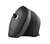 Mysz TRUST Verro Ergonomic Wireless Mouse