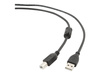 GEMBIRD CCF-USB2-AMBM-6 Gembird AM-BM kabel USB 2.0 1.8M High Quality, FERRYT