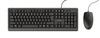 Zestaw klawiatura + mysz TRUST PRIMO Set