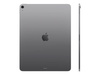 APPLE 13inch iPad Air Wi-Fi 512GB - Space Grey