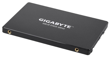 Dysk Gigabyte GP-GSTFS31256GTND (256 GB ; 2.5"; SATA III)