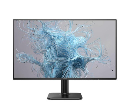Monitor 24E2N1110 23.8 cala IPS 120Hz HDMI VGA 