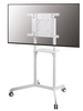 Neomounts Mobile Flat Screen Floor Stand (height: 160 cm)