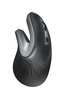 Mysz TRUST Verro Ergonomic Wireless Mouse