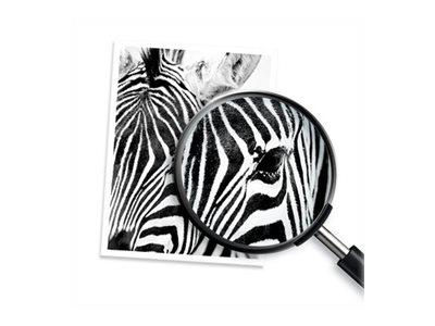 HP GT52 Original Ink Bottle Yellow