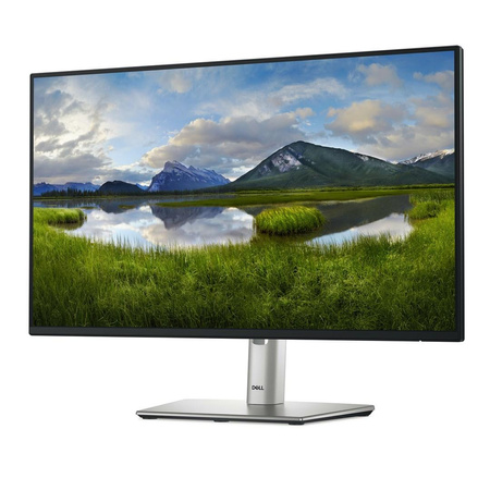 Dell 24 Monitor - P2425H, 60.5cm (23.8")