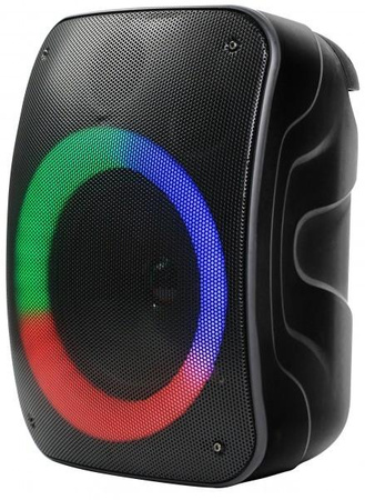 Głośnik Bluetooth STAGE 300 