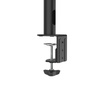 Uchwyt do monitora plus 2 ramiona 13-35 cali