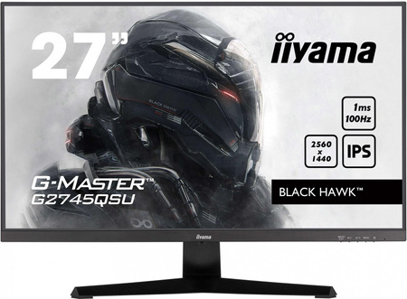 Monitor 27 cali G2745QSU-B2,IPS,QHD,100Hz,1ms,2xUSB,300cd 