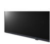 Monitor wielkoformatowy 43UL3J-M 43 cale UHD IPS 16/7 300cd/m2 