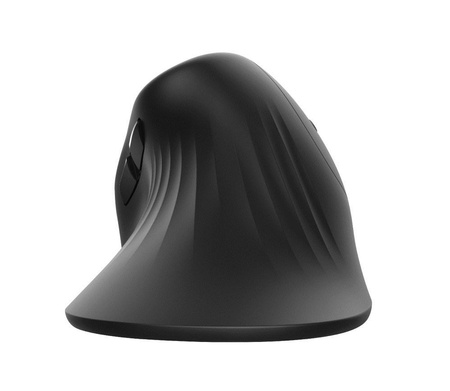 Mysz TRUST Verro Ergonomic Wireless Mouse