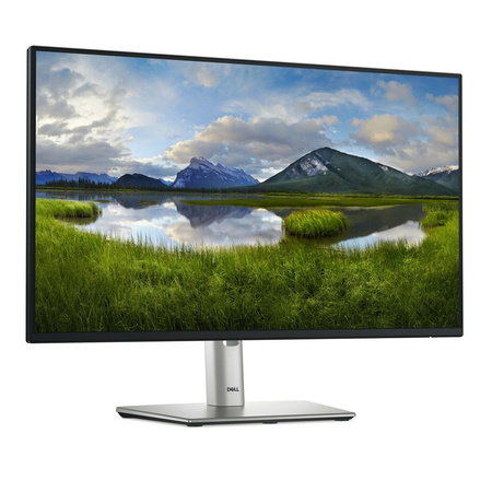 Dell 24 Monitor - P2425H, 60.5cm (23.8")