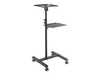 TECHLY Wózek stolik prezentacyjny do projektora i notebooka mobilny