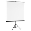 Ekran na statywie do projektora 155x155cm