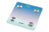 Waga personalna z Bluetooth BSM601BT