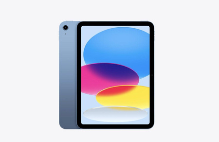 iPad WiFi + Cellular 11 cali 256 GB Niebieski