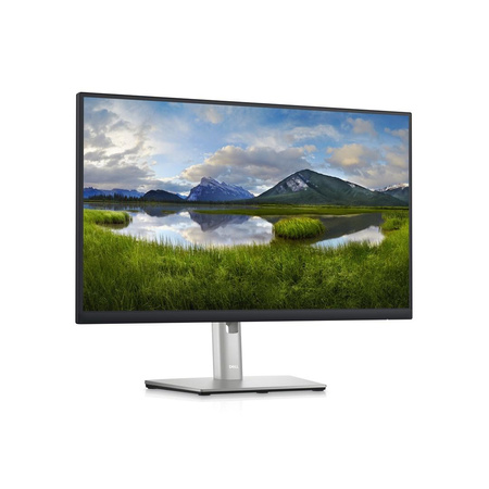 DELL 24 MONITOR - P2423D - 60.5CM (23.8)