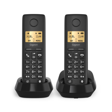 Telefon bezprzewodowy Pure 100 Duo 