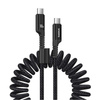 Kabel Baseus Fish-Eye Typ C-Typ C 100W 1m (czarny)