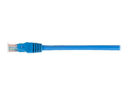 NETRACK BZPAT2UB Netrack patchcord RJ45, osłonka zalewana, kat. 5e UTP, 2m niebieski