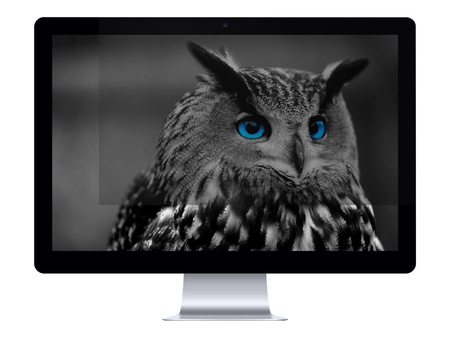 NATEC NFP-1478 Natec Filtr prywatyzujący RODO OWL 24, 16:9