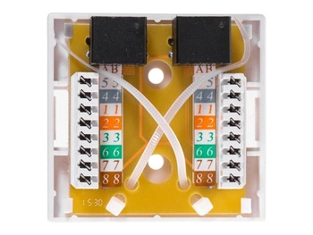 NETRACK 106-21 Netrack gniazdo kompletne natynkowe 2xRJ45 8p8c UTP Cat6 LSA