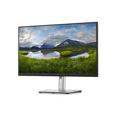 DELL 24 MONITOR - P2423D - 60.5CM (23.8)