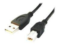 GEMBIRD CCP-USB2-AMBM-6 Gembird AM-BM kabel USB 2.0 1.8M czarny Niklowane końce