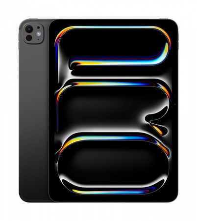 iPad Pro 11 cali Wi-Fi + Cellular 256GB - Gwiezdna czerń