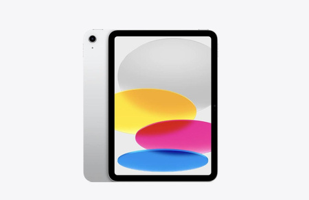iPad WiFi + Cellular 11 cali 256 GB Srebrny