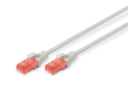 Patch cord U/UTP kat.6 PVC 3m szary 