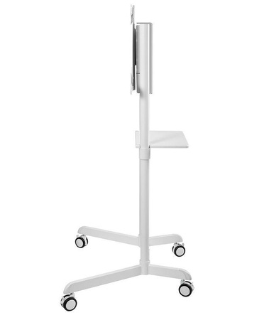 Neomounts Mobile Flat Screen Floor Stand (height: 160 cm)