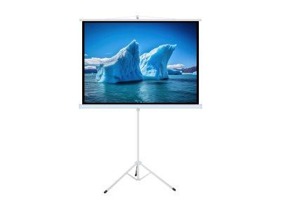 ART MANUAL SCREEN ON A TRIPOD 120inch 183x244cm TA-120 4:3