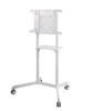 Neomounts Mobile Flat Screen Floor Stand (height: 160 cm)